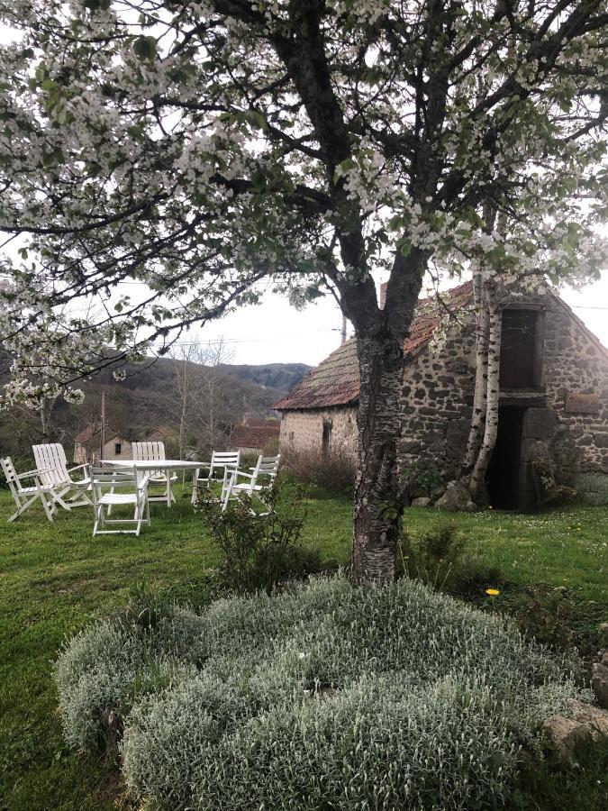 Maison D'Hotes Ourdeaux Et Gite Chez Rouchon Alleyrat  Екстер'єр фото